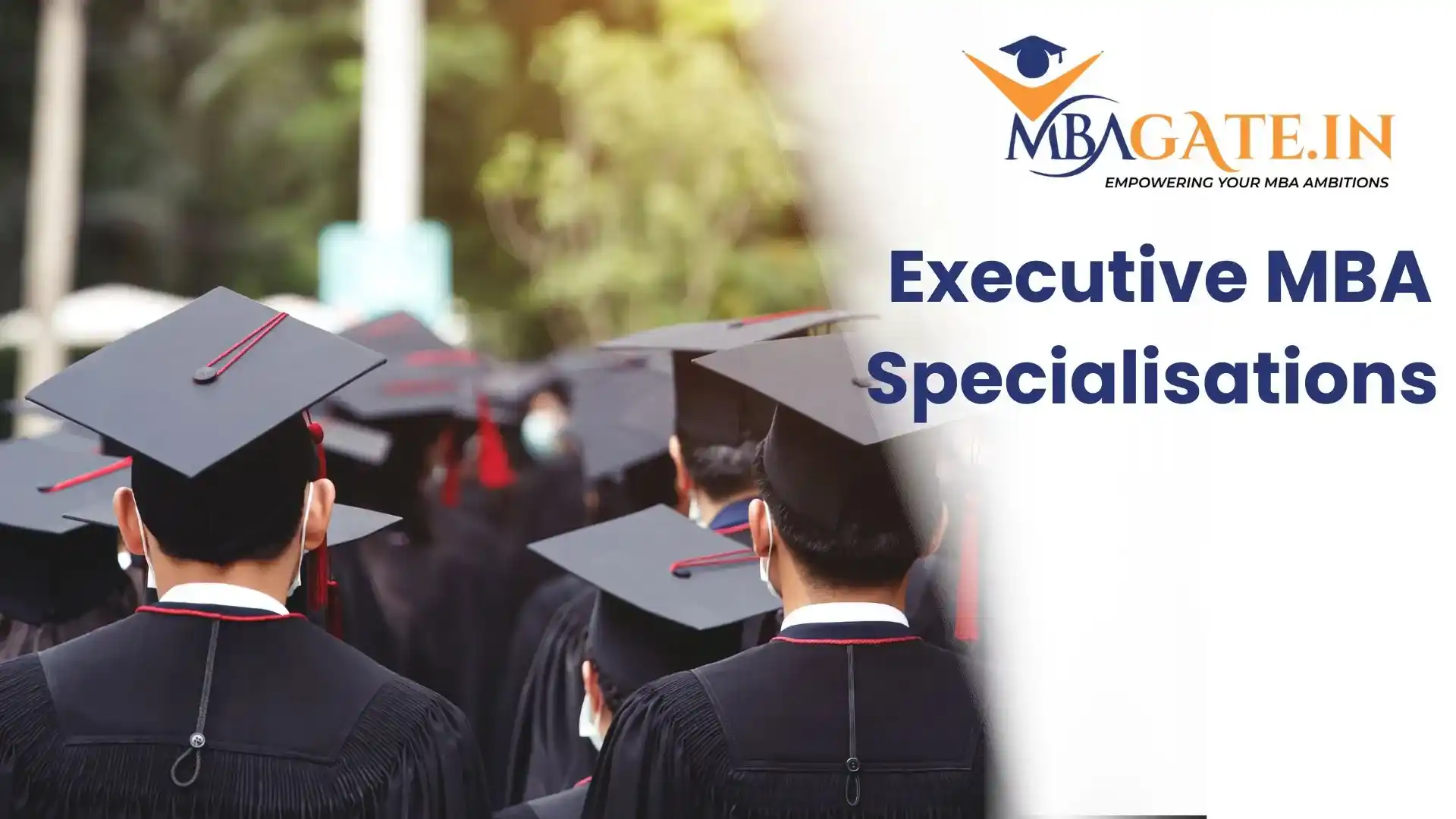 Executive MBA Specialisations