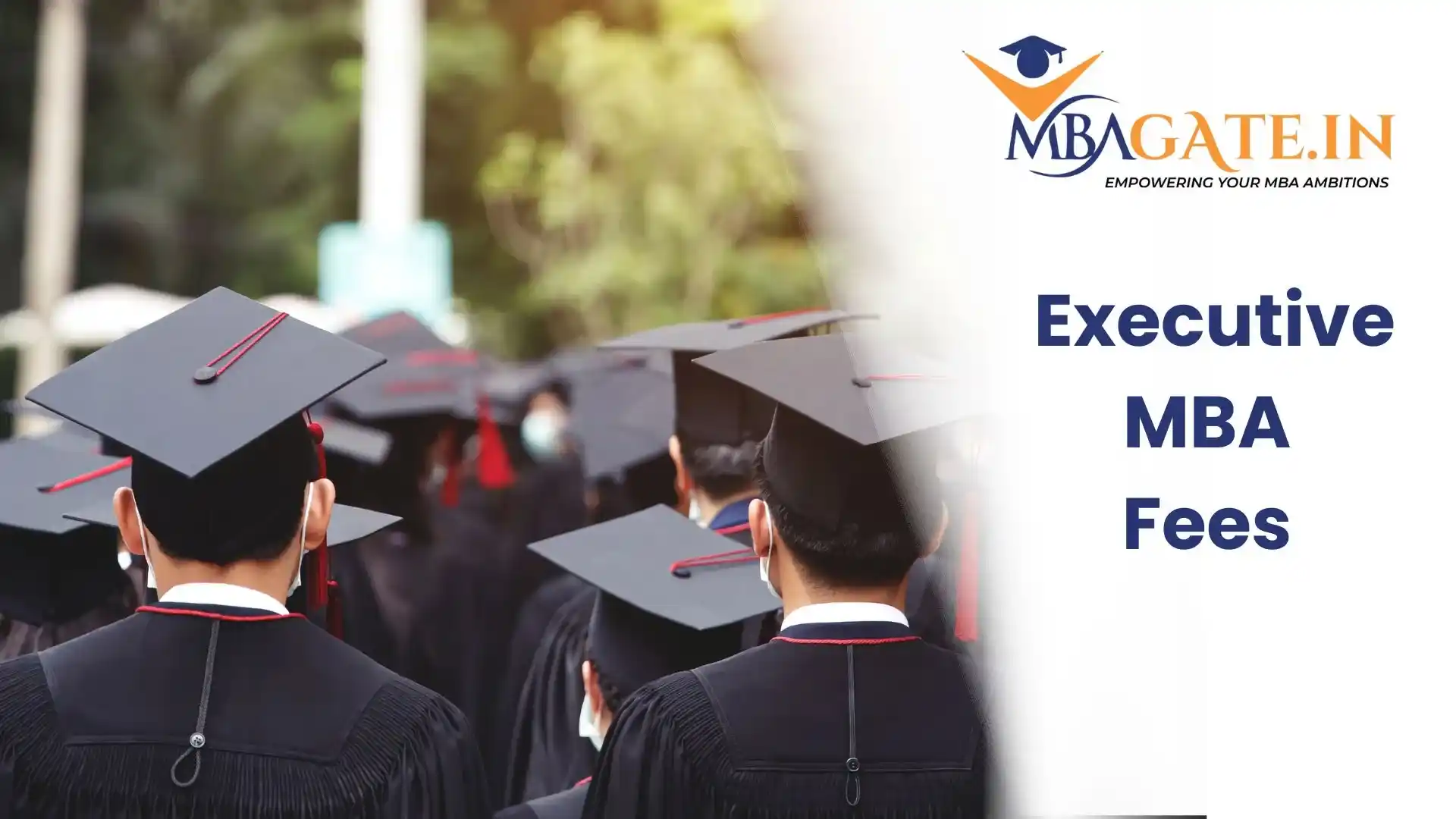Executive MBA Fees