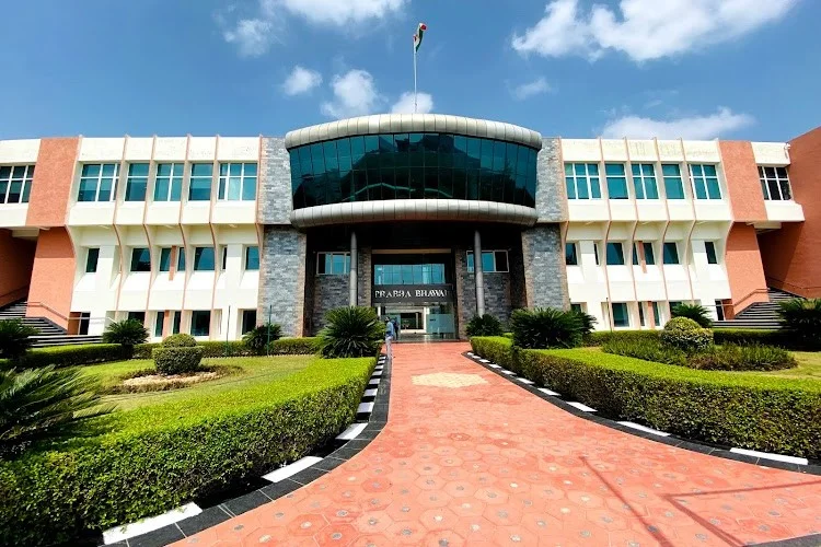 MINT Jaipur